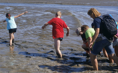 Geführte Wattwanderung im UNESCO-Weltnaturerbe Wattenmeer rund um Tossens